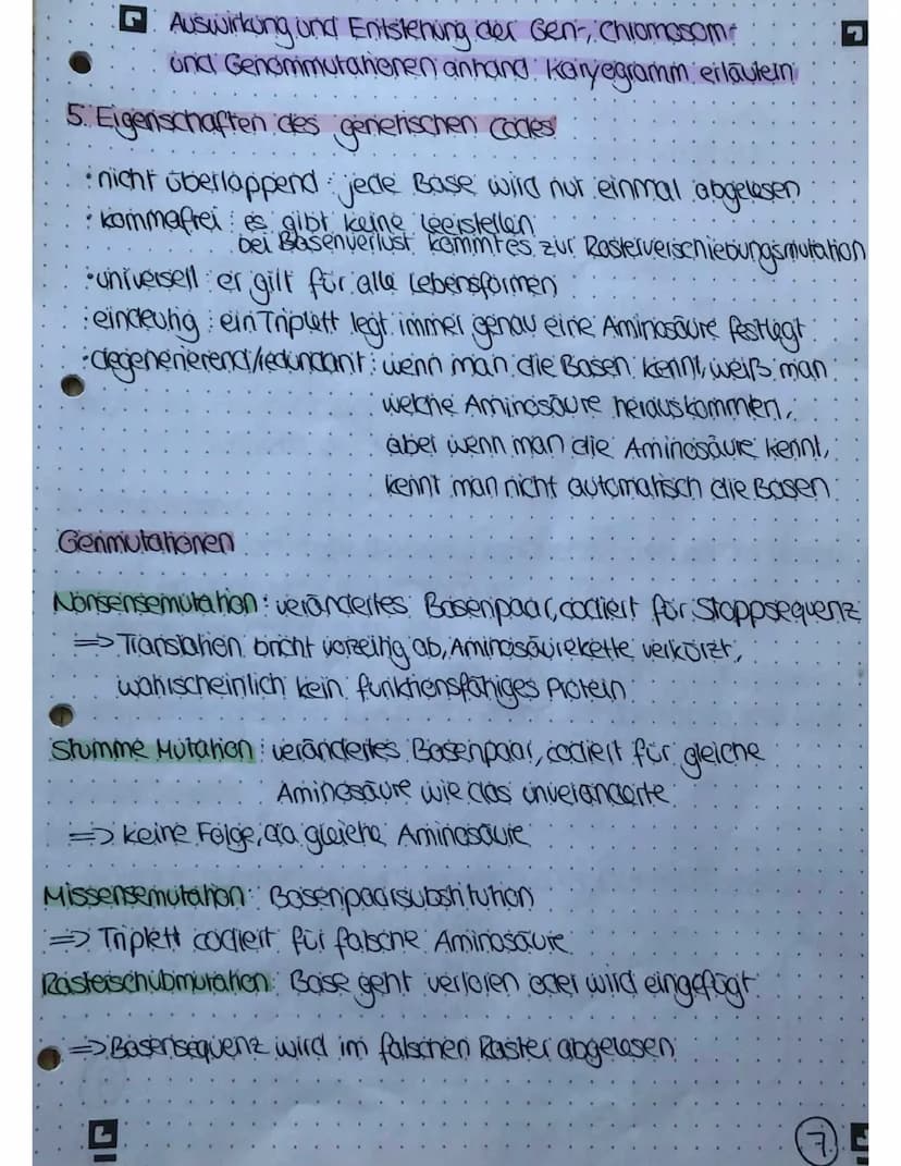 Meiose und Mitose
Mitose
Plophase
Chromosomen verkürzen und verdichten sich
Cennomere gehen auseinander
Prometophase:
Keinholle zeifällt:
Sp