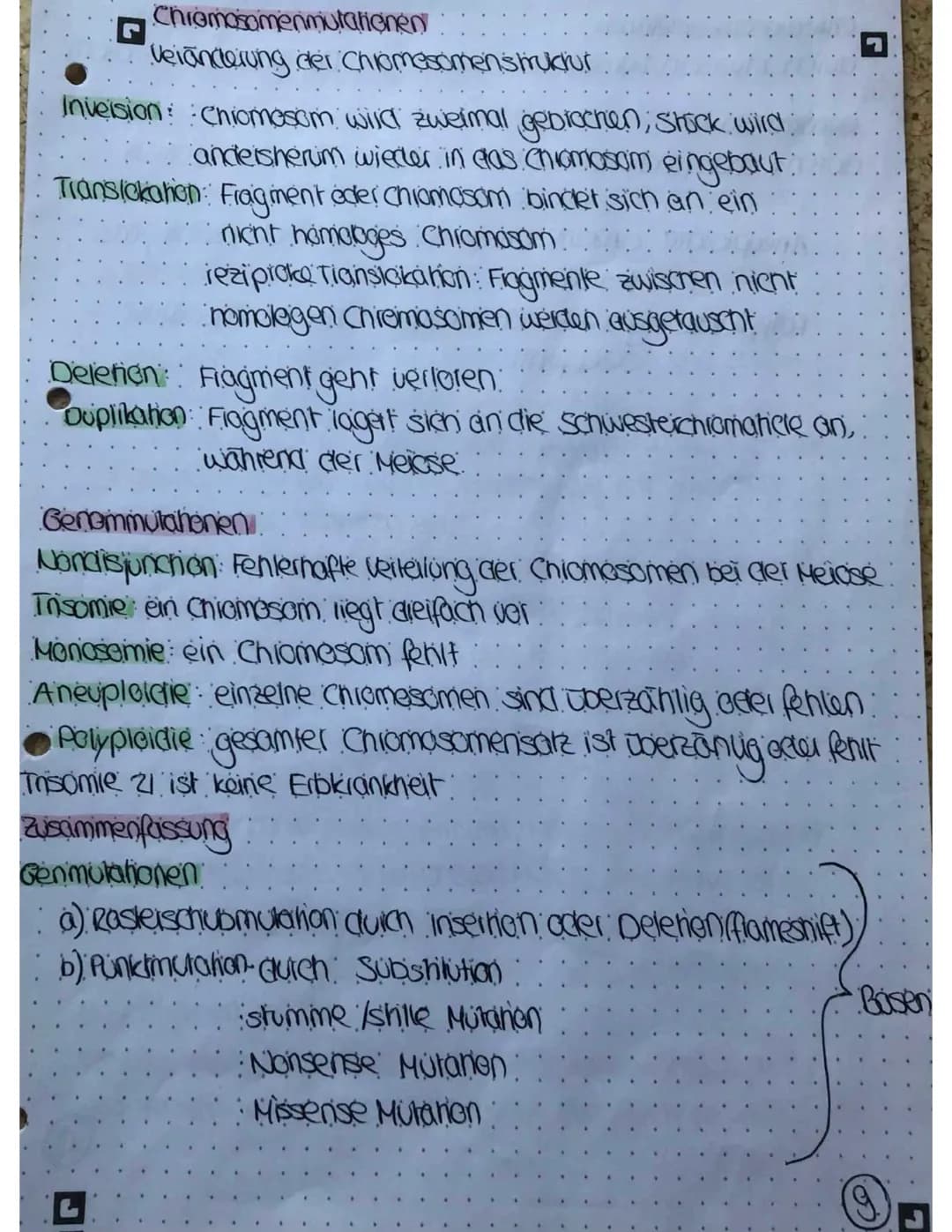 Meiose und Mitose
Mitose
Plophase
Chromosomen verkürzen und verdichten sich
Cennomere gehen auseinander
Prometophase:
Keinholle zeifällt:
Sp