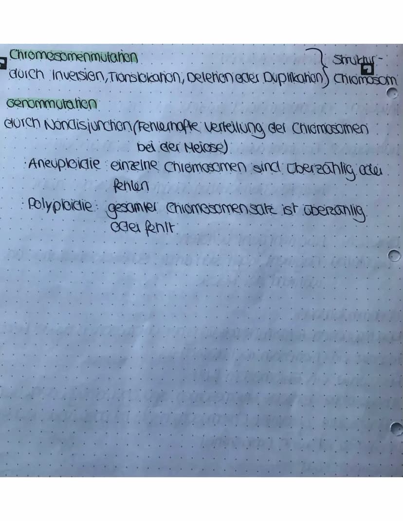 Meiose und Mitose
Mitose
Plophase
Chromosomen verkürzen und verdichten sich
Cennomere gehen auseinander
Prometophase:
Keinholle zeifällt:
Sp