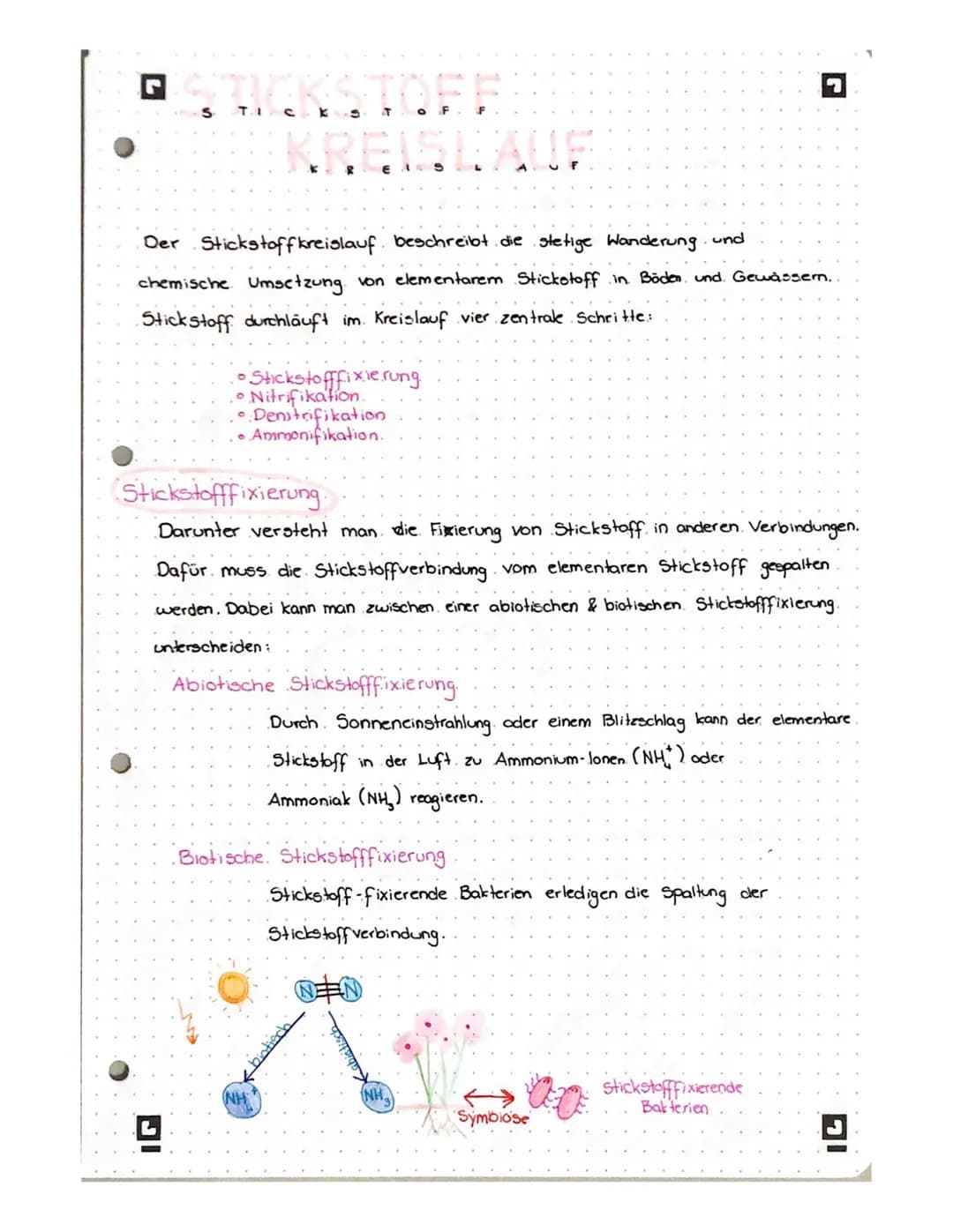 S
Т.1 С
STOFF
KREJ
Der Stickstoffkreislauf beschreibt die stetige Wanderung und
chemische Umsetzung von elementarem Stickstoff in Böden und.