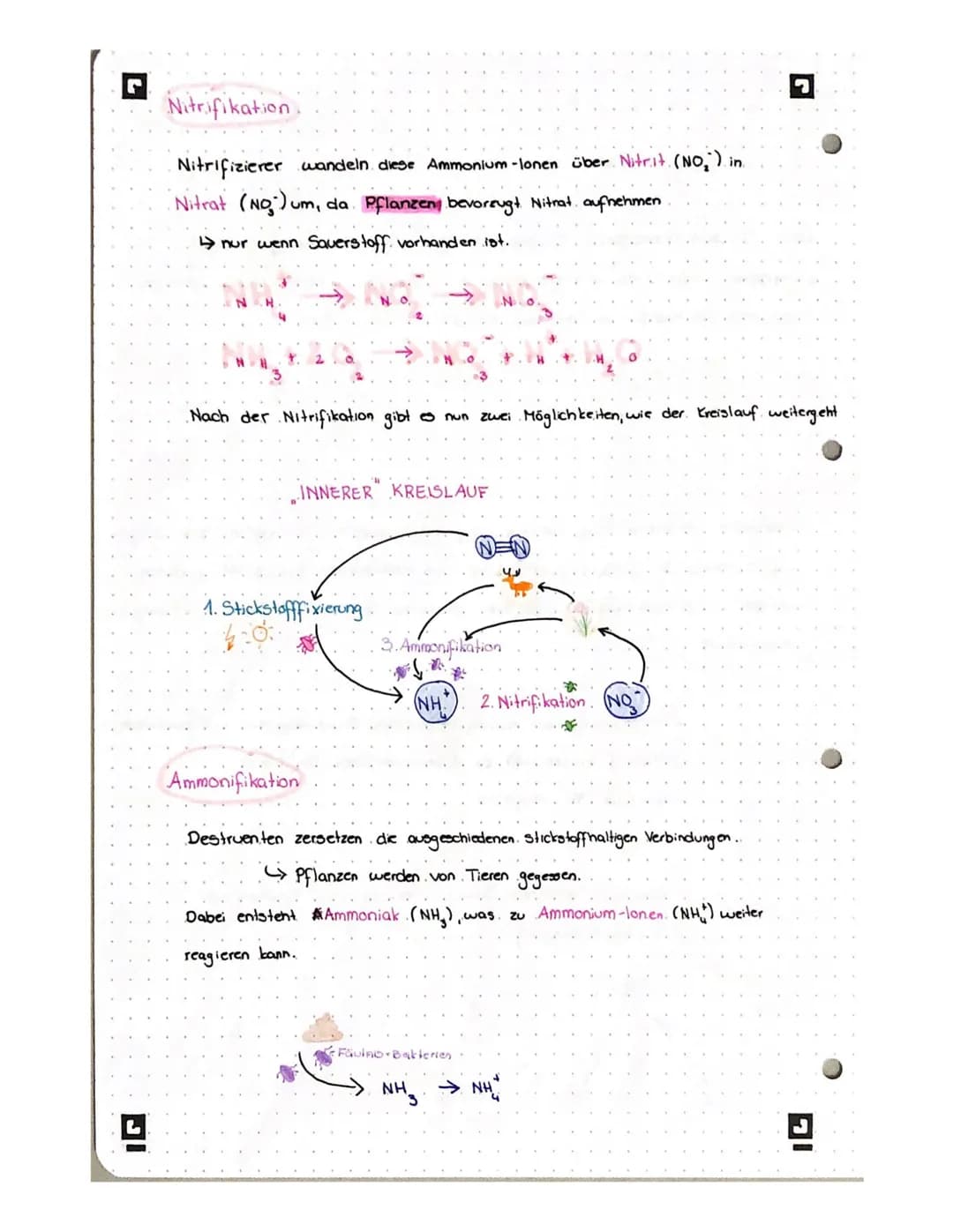 S
Т.1 С
STOFF
KREJ
Der Stickstoffkreislauf beschreibt die stetige Wanderung und
chemische Umsetzung von elementarem Stickstoff in Böden und.