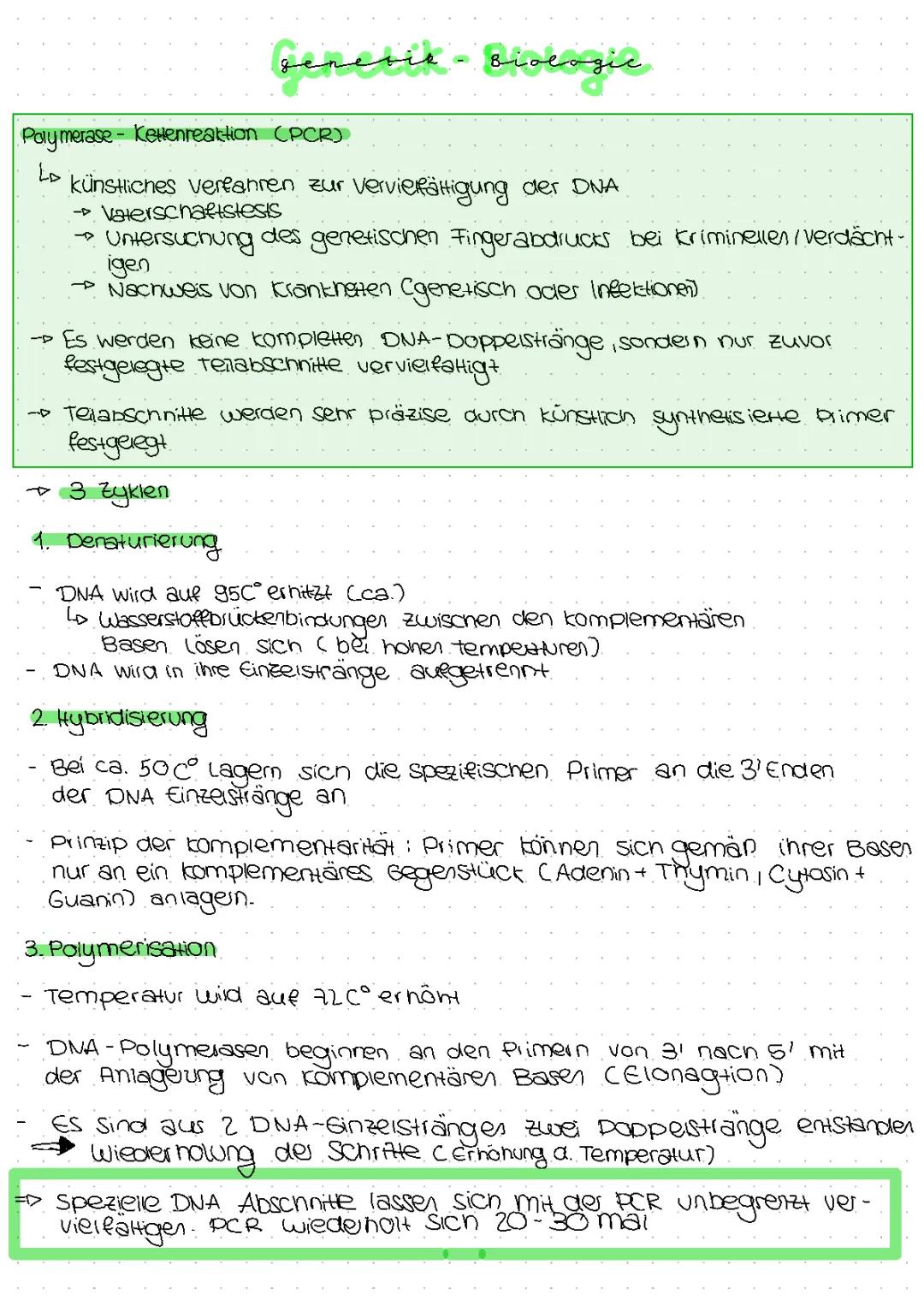 PCR - Polymerase Kettenreaktion 