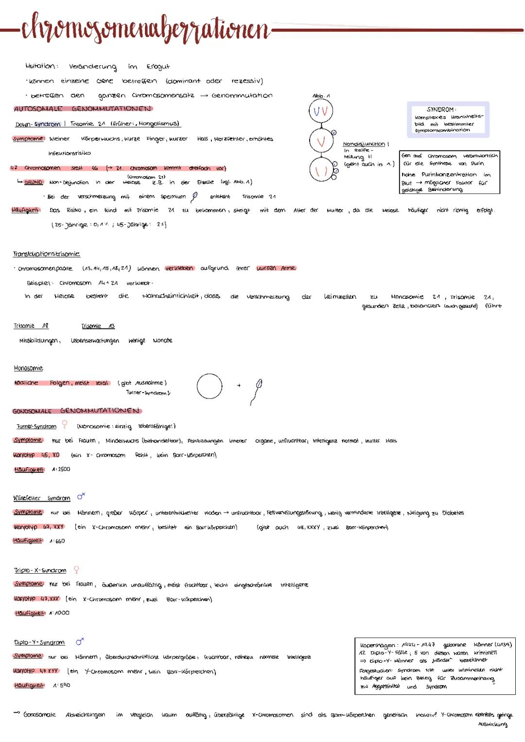 Genommutationen und Chromosomenmutationen: Trisomie 21, Turner-Syndrom und mehr