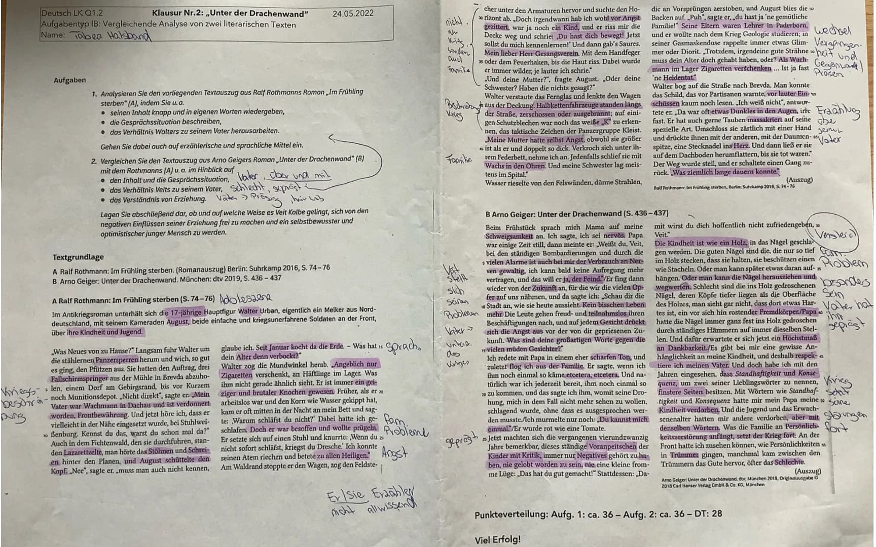 Deutsch LK Q1.2
Klausur Nr.2: ,,Unter der Drachenwand"
Aufgabentyp IB: Vergleichende Analyse von zwei literarischen Texten
Name: Tabea Halsb