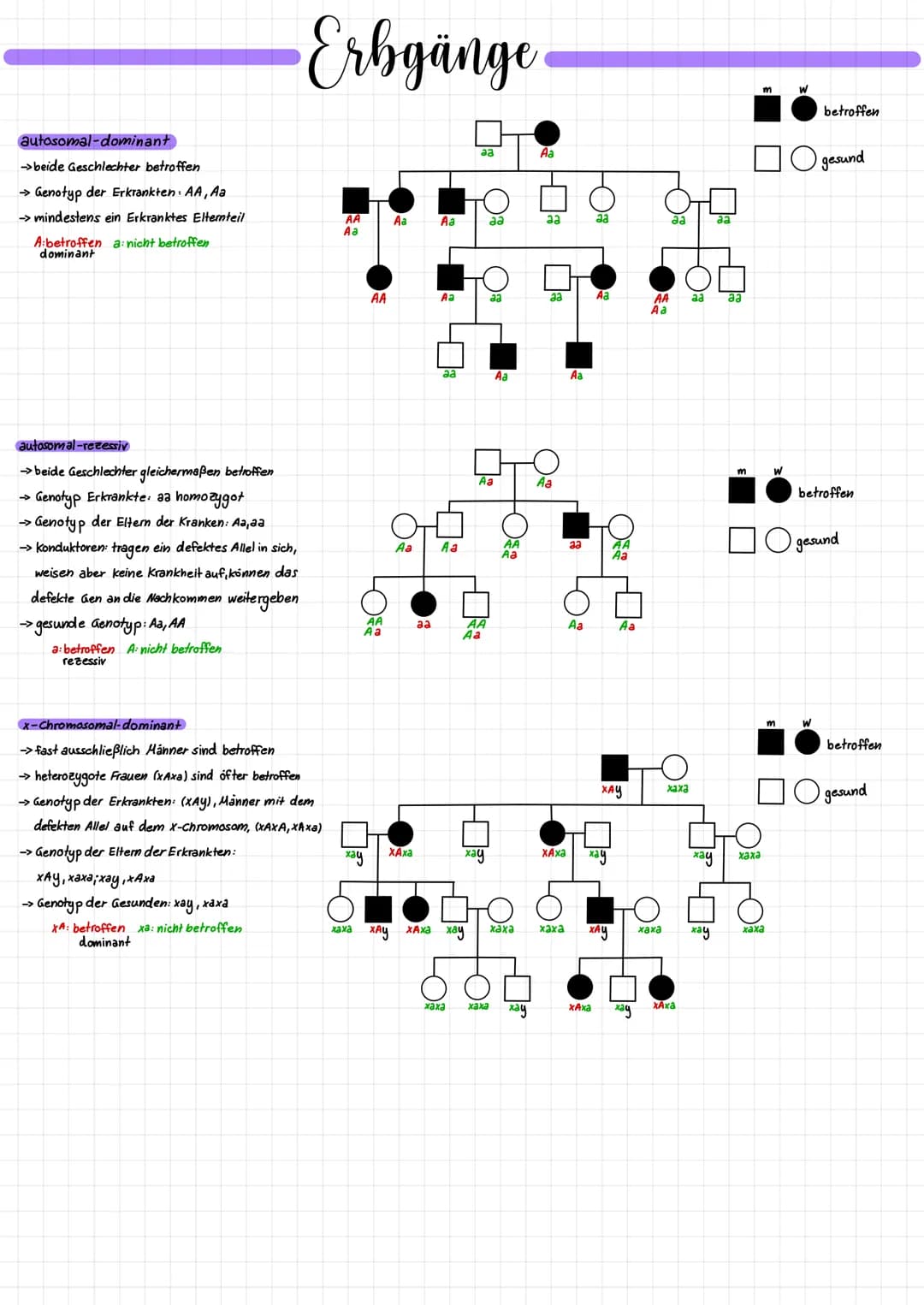autosomal-dominant
→>beide Geschlechter betroffen
→Genotyp der Erkrankten AA, Aa
→ mindestens ein Erkranktes Elternteil
A betroffen a: nicht