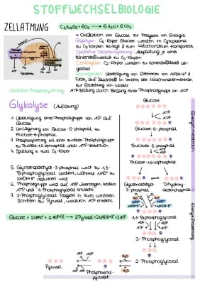 Know Stoffwechselbiologie thumbnail