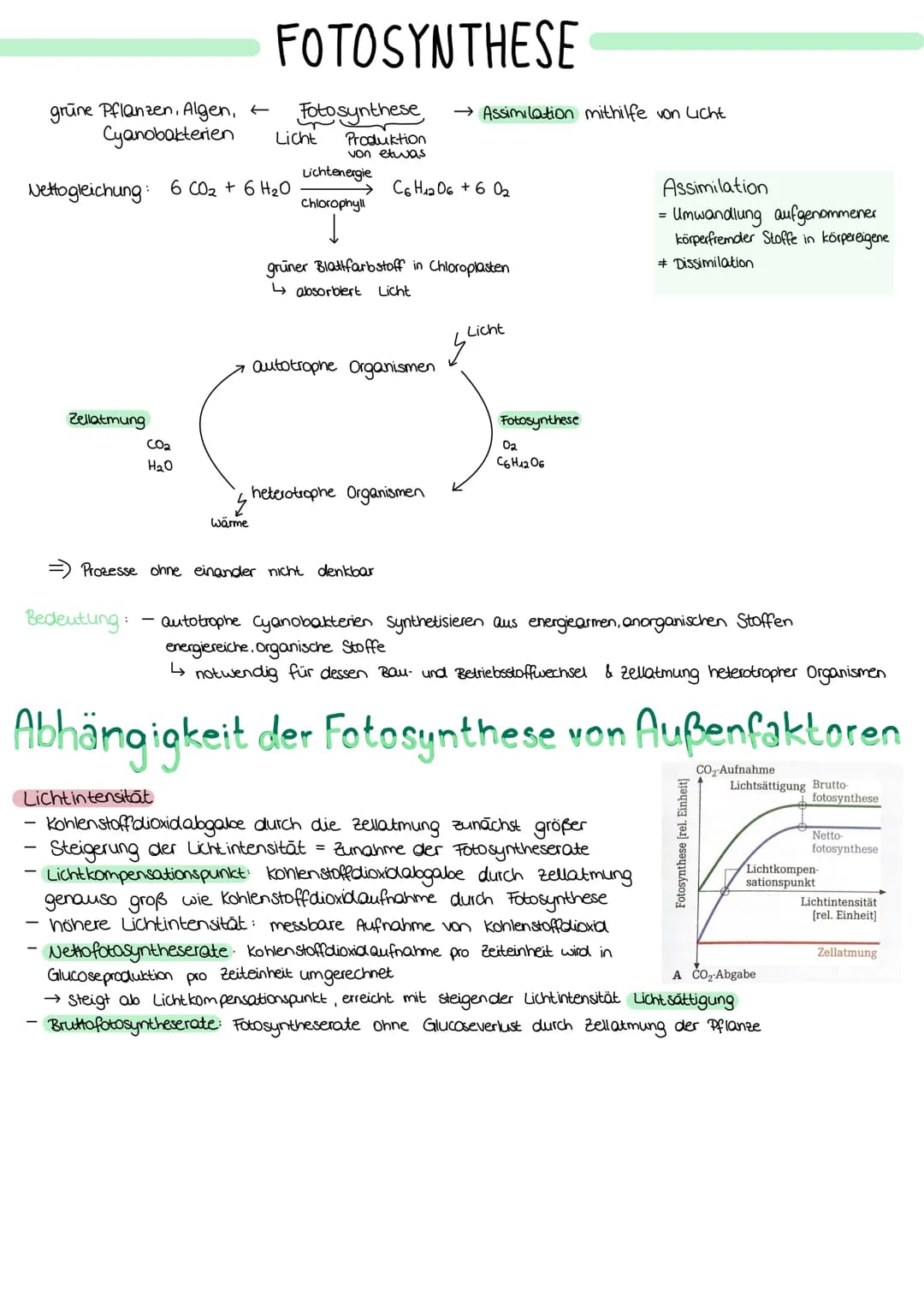 ZELLATMUNG
STOFFWECHSEL BIOLOGIE
6 H₂0+ 6CO₂
→ Oxidation von Glucose zur Freigabe von Energie
Glykolyse: C6-Körper Glucose werden im Cytopla