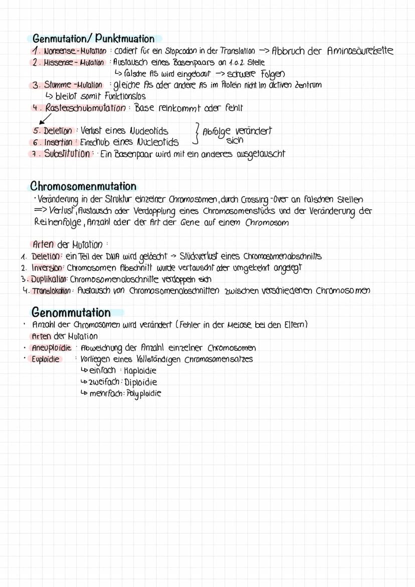 Genmutation/Punktmuation
1. Nonsense-Mutation
2. Missense - Mutation
codiert für ein Stopcodon in der Translation > Abbruch der Aminosäureke