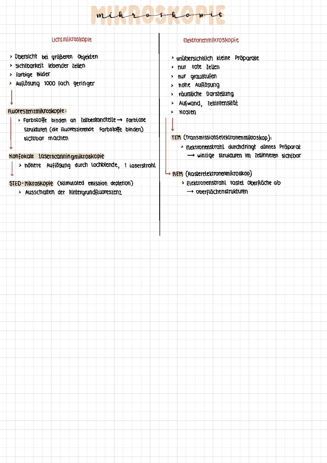 Mikroskopie: Vergleich von Lichtmikroskopie und Elektronenmikroskopie