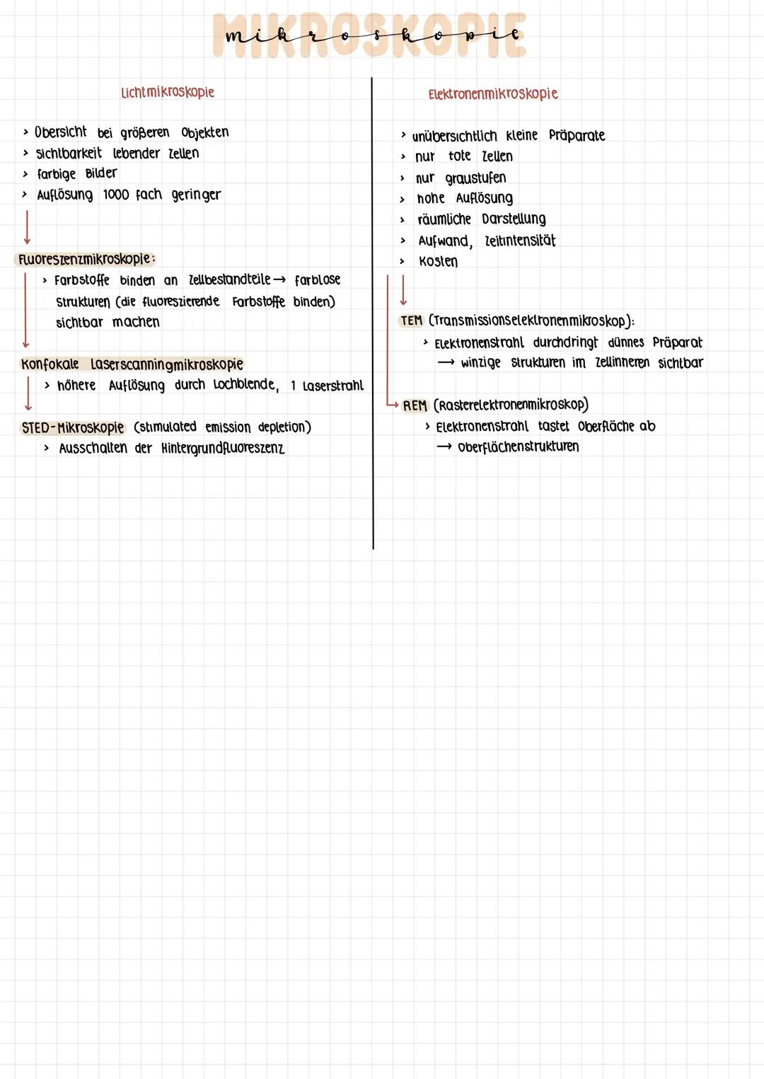 Licht mikroskopie
mikroskovic
> Übersicht bei größeren Objekten
> Sichtbarkeit lebender Zellen
> farbige Bilder
> Auflösung 1000 fach gering