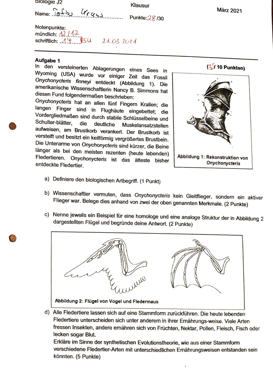 Biologie J2
Name: Tofia Kraw.
Notenpunkte:
mündlich: 12/12
schriftlich: ....
su
Klausur
Punkte: 28/30
21.03 2021
Aufgabe 1
In den versteiner
