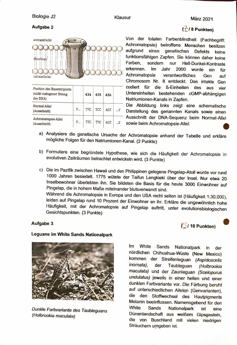 Biologie J2
Name: Tofia Kraw.
Notenpunkte:
mündlich: 12/12
schriftlich: ....
su
Klausur
Punkte: 28/30
21.03 2021
Aufgabe 1
In den versteiner