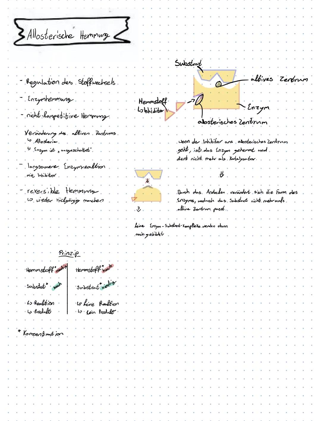 Allosterische Hemmung
• Regulation des Stoffwechsels.
· Enzymhemmung.
nicht hompetitive Hemming.
Veränderung des altiven. Zentrums.
Alloster