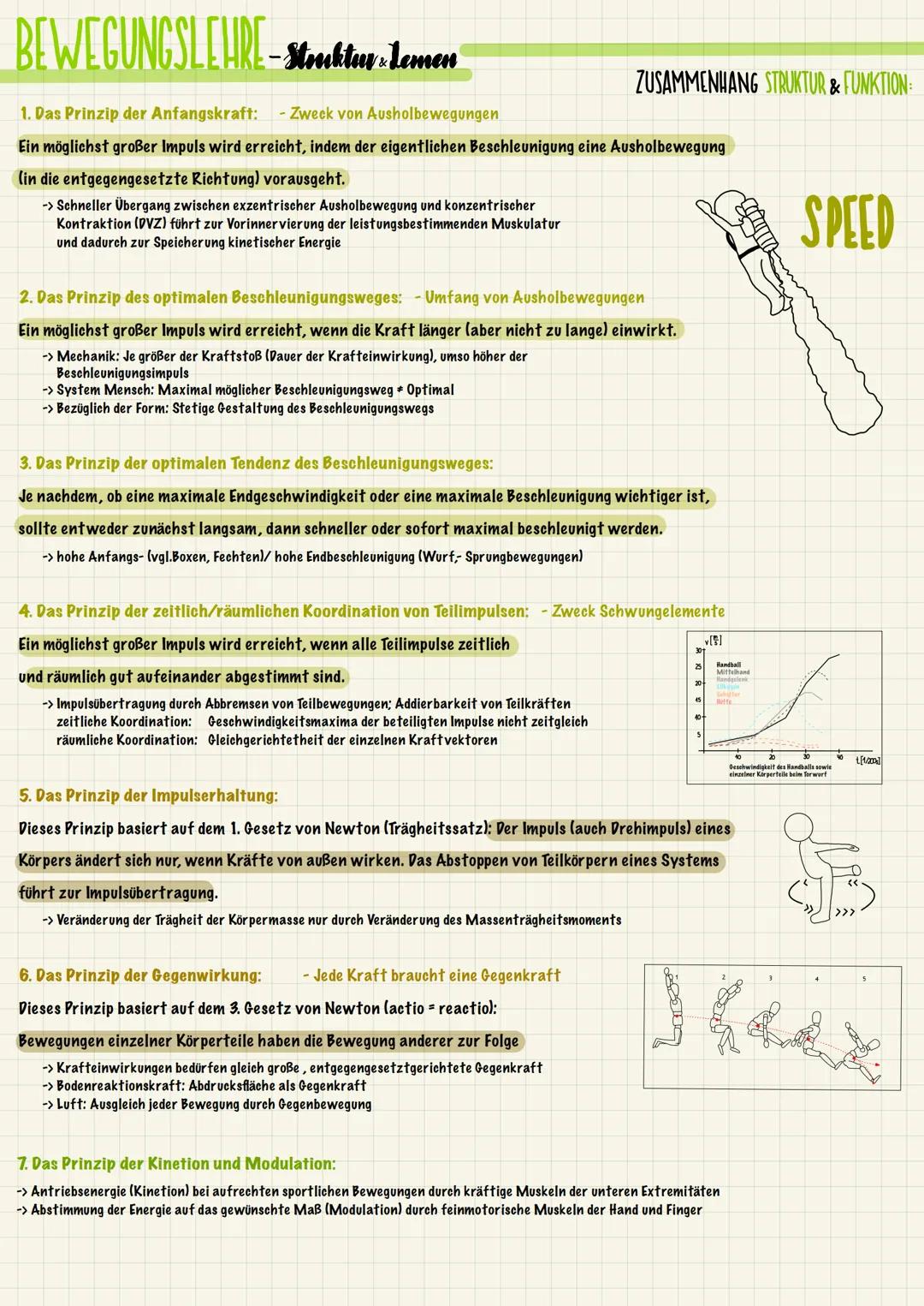 BEWEGUNGSLEHRE – Struktur - Lamen
Bewegungslehre Gesamtheit der wissenschaftlichen Aussagen zum Problemkomplex der Bewegung im Sport
Zwei ze