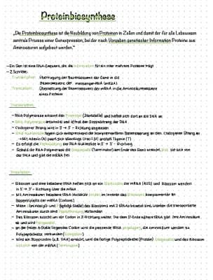 Know Proteinbiosynthese  thumbnail