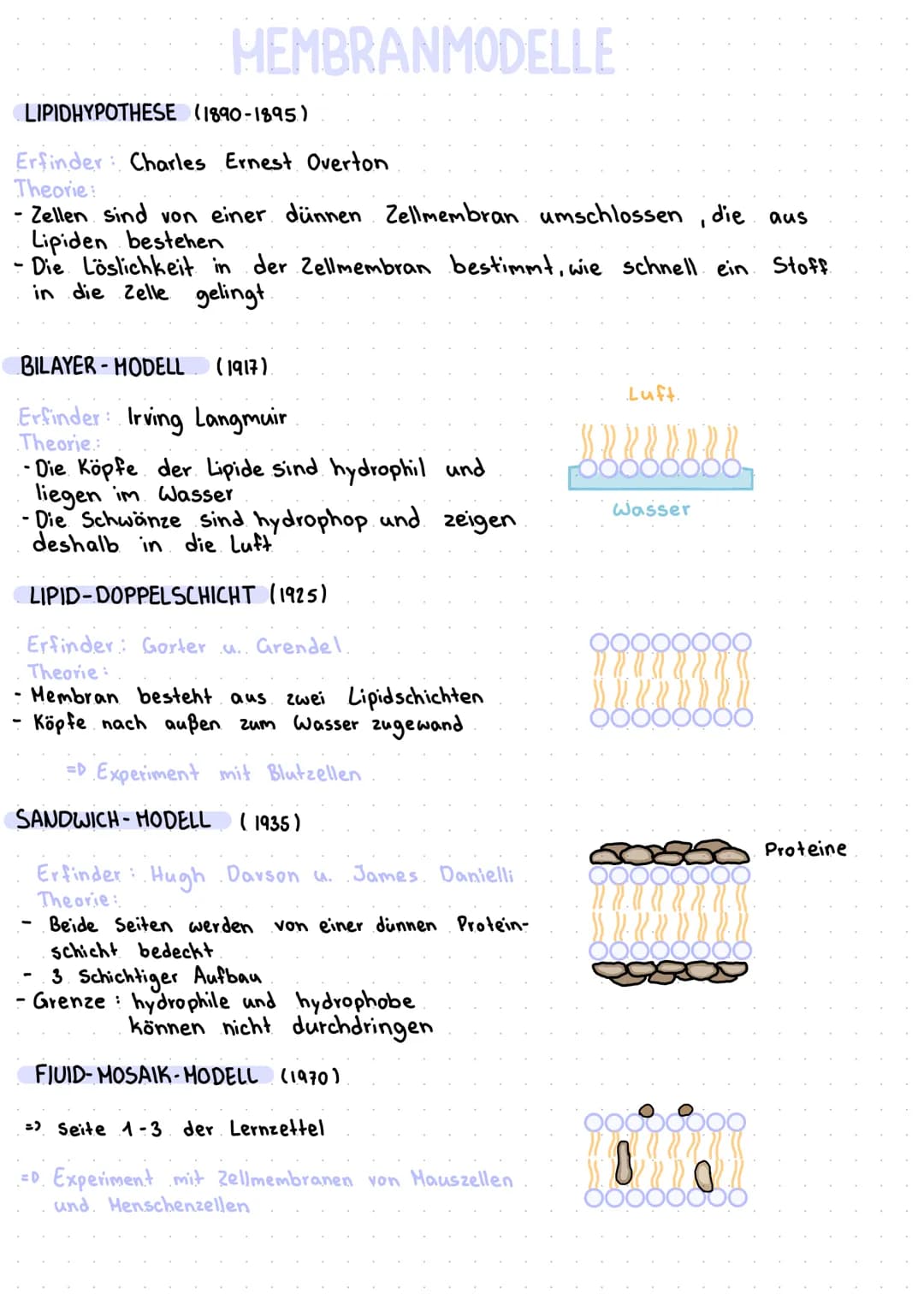 DEFINITION
aus einer
Eine Biomembran kommt in Zellen aller Lebewesen vor. Sie besteht
Phospholipid-Doppelschicht und trennt den Innenraum de