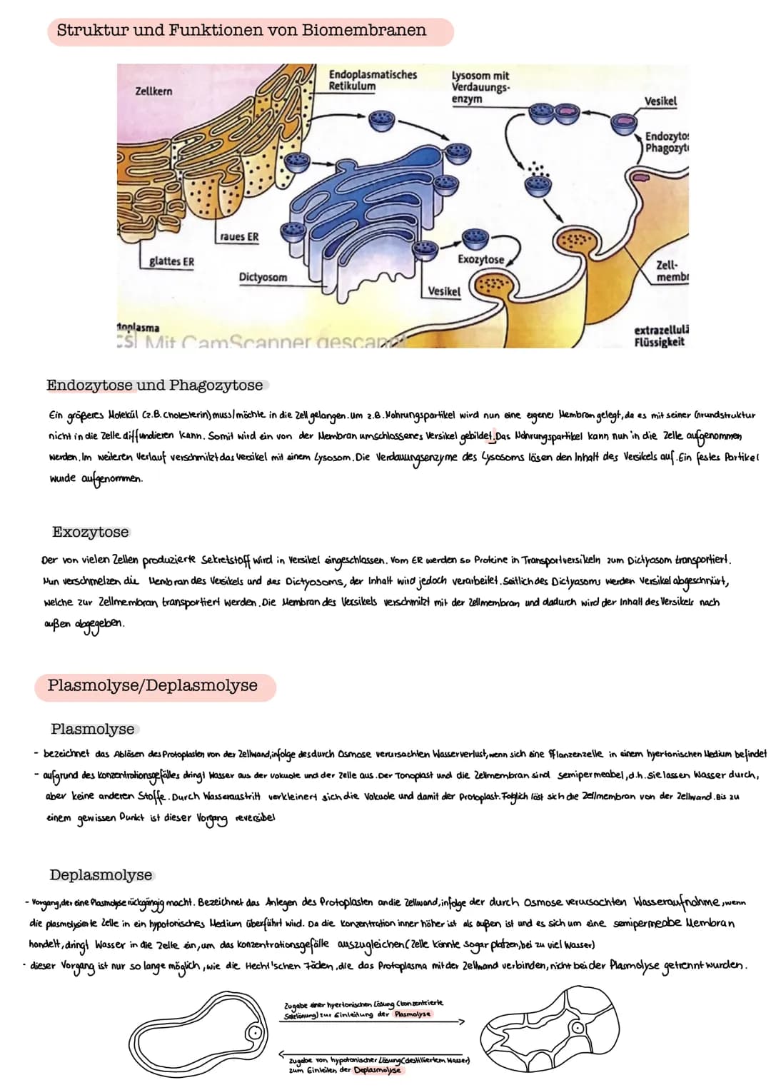 Lipide
Sammelbegriff für uneinheitliche Gruppe an Makromolekülen
kaum /garnicht in Wasser löslich, nur in unpolaren organischen Lösungsmitte