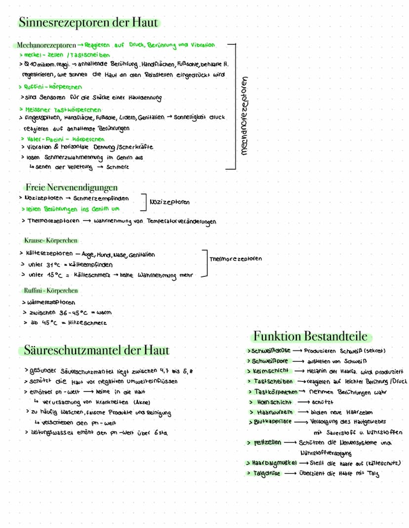 Steckbrief Haut
> größte organ
> grenzschicht zwischen Haut und Umwelt
> Teil des imunsystems
Gesundheit
haut
> größte Sinnesorgan
> Hautobe