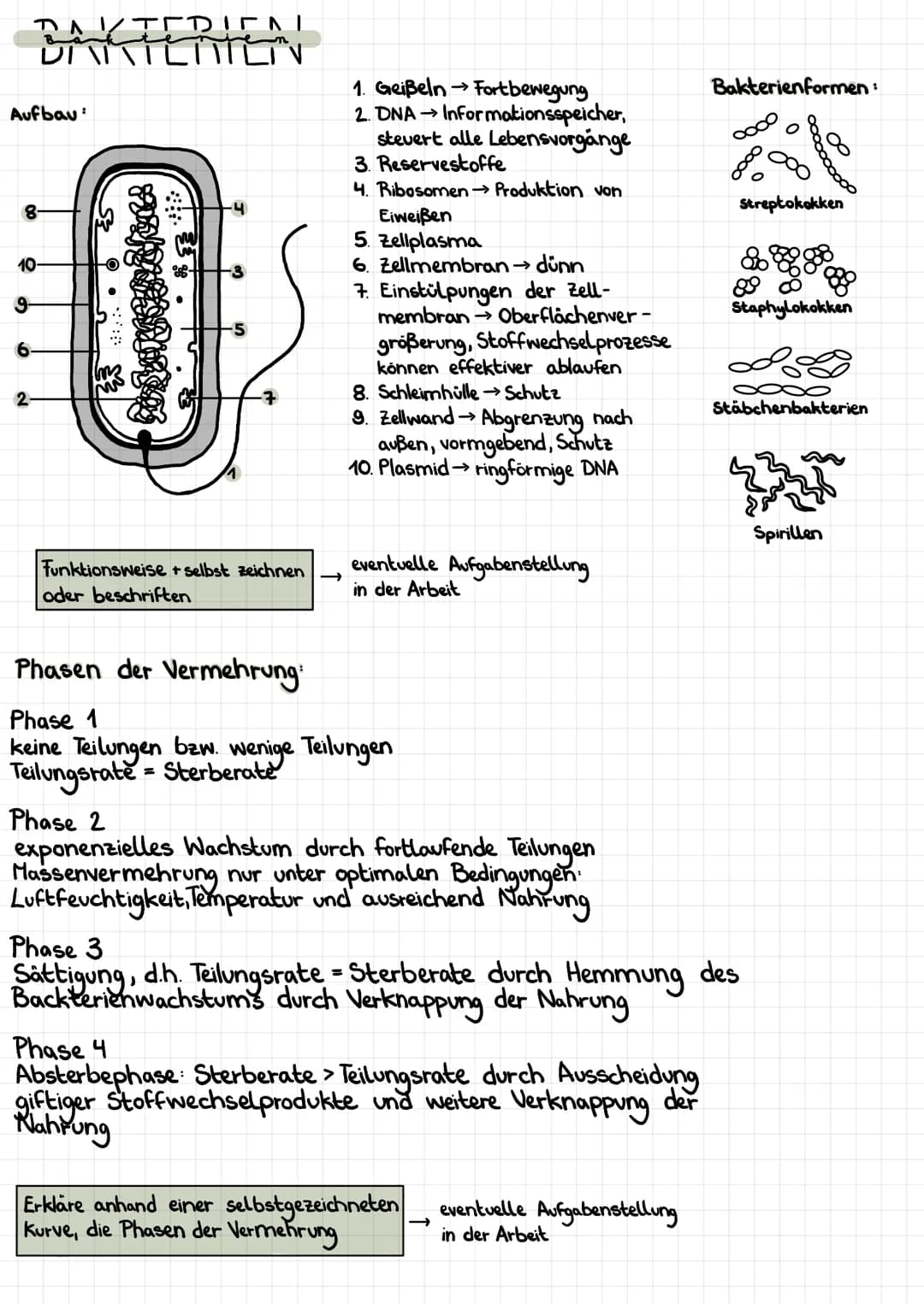 Aufbau:
BAKTE
8-
10-
9-
6
2
TEDINI
ven
LITILIN
Im
Funktionsweise + selbst zeichnen
oder beschriften
→
1. Geißeln → Fortbewegung
2. DNA→ Info