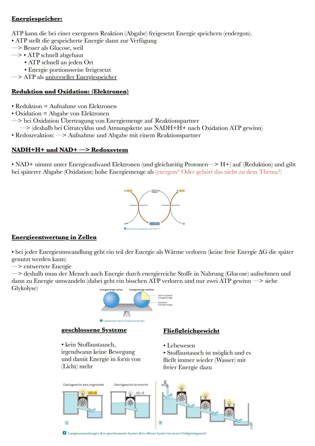 Energieumsatz in Zellen
Energieformen und Energieumwandlung
Energie für chemische Reaktionen, Aufbau komplexer Moleküle aus
einfachen Vorstu