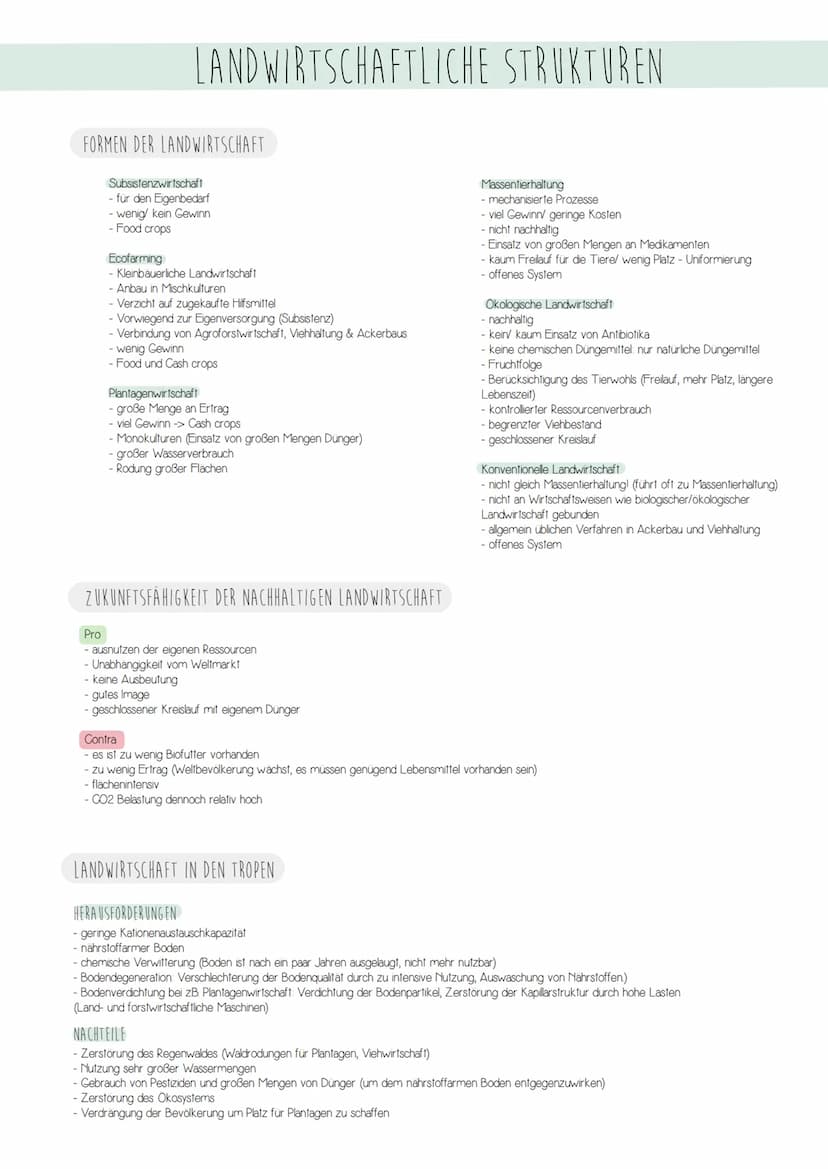 STADTBEGRIFF
STADTENTWICKLUNG
STADT
- abgegrenzte Siedlungen im Schnittpunkt größerer Verkehrswege
- eigene Verwaltung & Organisation
- gege