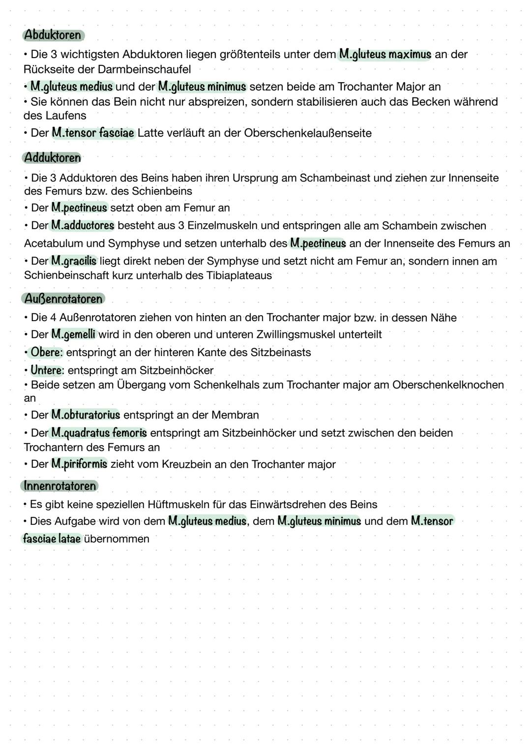 Lendenwirbel (Vertebrae lumbales)
Darmbein (llium)
Beckenkamm (Christa iliaca)
Kreuzbein (Sakrum)
Hüftgelenk (Articulatio coxae)
Sitzbein (O