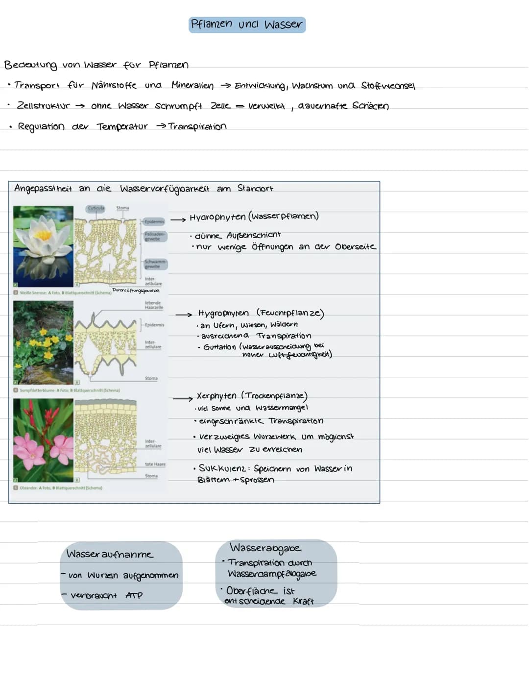 جا
Okologie = Lenve vom Haushalt der Natur
Wechselwirkungen zwischen Organismen und inver
Organismen untereinander
abiotische Faktoren
→ Ein