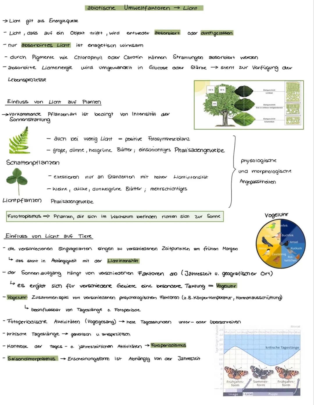جا
Okologie = Lenve vom Haushalt der Natur
Wechselwirkungen zwischen Organismen und inver
Organismen untereinander
abiotische Faktoren
→ Ein