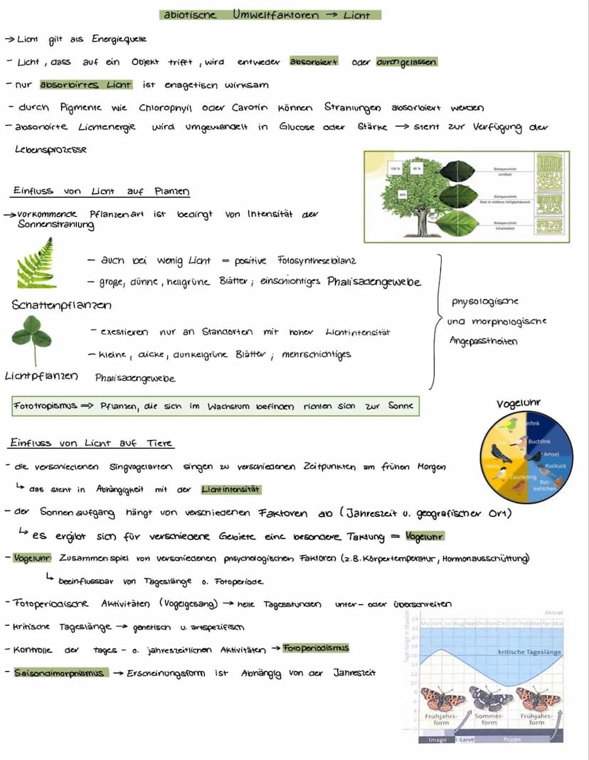 جا
Okologie = Lenve vom Haushalt der Natur
Wechselwirkungen zwischen Organismen und inver
Organismen untereinander
abiotische Faktoren
→ Ein