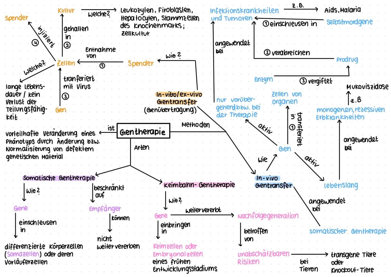 Gentest und Gentheraphie
Polymerase-Kettenreaktion (PCR) PCR = Polymerase - chain- Reaction
künstliches Verfahren zur Vervielfältigung von D