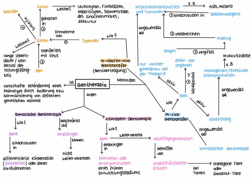Gentest und Gentheraphie
Polymerase-Kettenreaktion (PCR) PCR = Polymerase - chain- Reaction
künstliches Verfahren zur Vervielfältigung von D