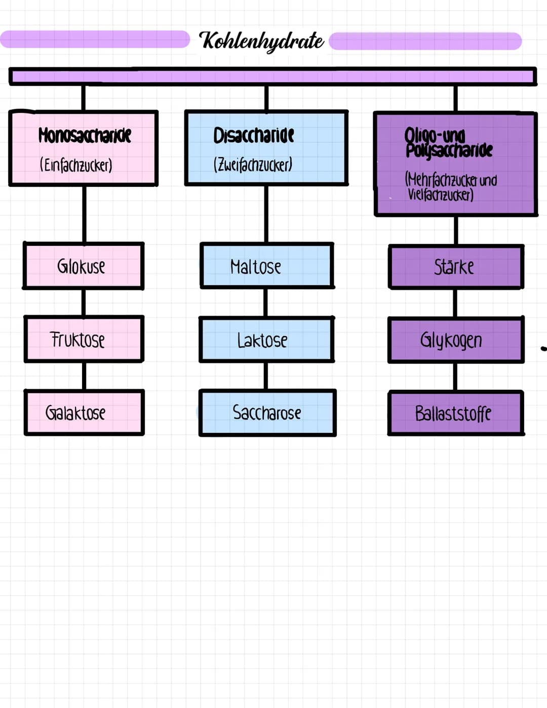 1
4
Glossar
Kohlenhydrate
Thema: Kohlenhydrate
Kohlenhydrate (Nährstoff) sind organische Verbin-
dungen aus Kohlenstoff. Wasserstoff und Sau