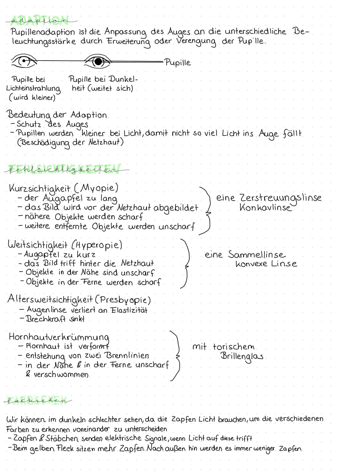 bardes
1
2
3
4
5
6
7
8
9
10-
iges & funktion
O
das auge
1. Lederhaut Schutz & Stabilisierung des Auges
2. Aderhaut =
Versorgung mit Nährstof