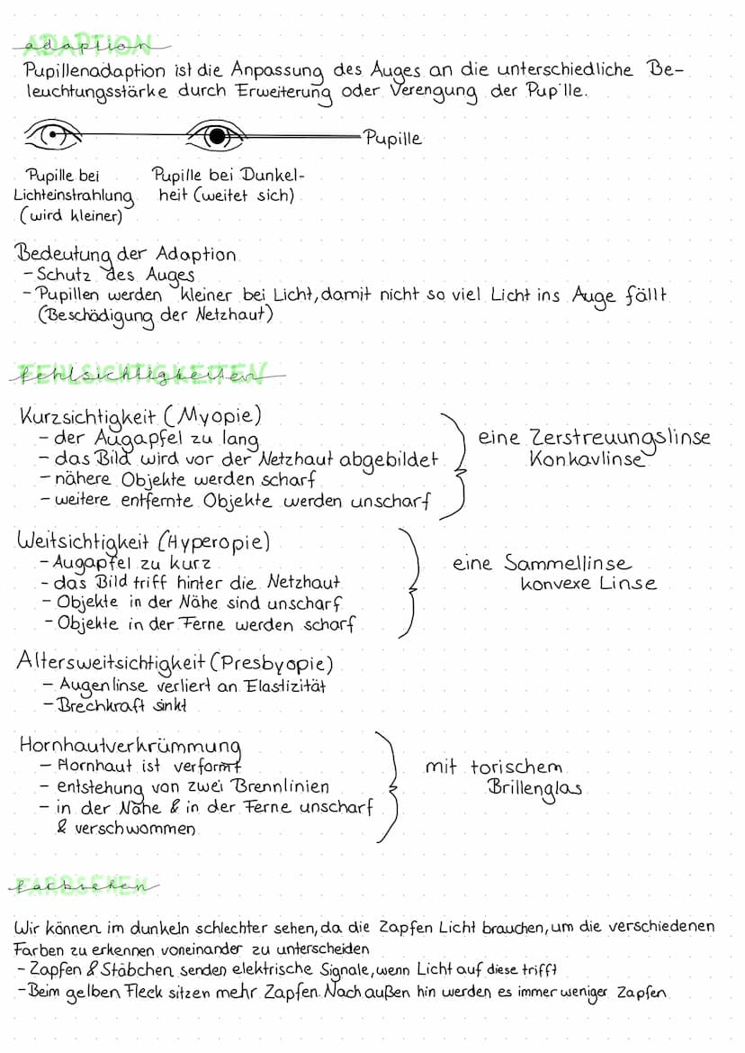bardes
1
2
3
4
5
6
7
8
9
10-
iges & funktion
O
das auge
1. Lederhaut Schutz & Stabilisierung des Auges
2. Aderhaut =
Versorgung mit Nährstof