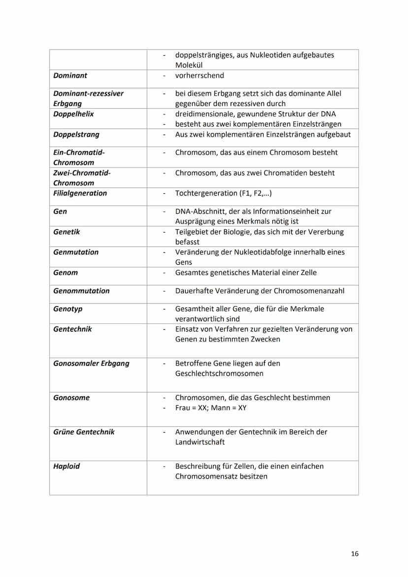 13. Glossar
Begriff
Allel/alleles Gen
Aminosäuresequenz
Aminosäure
Anaphase
Aneuploidie
Äquatorialebene
Autosomal-dominanter-
Erbgang
Autoso