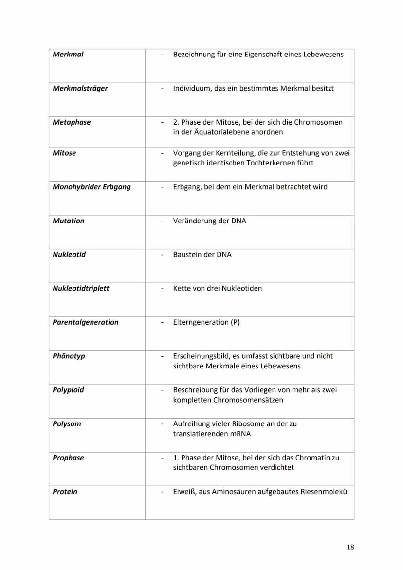 13. Glossar
Begriff
Allel/alleles Gen
Aminosäuresequenz
Aminosäure
Anaphase
Aneuploidie
Äquatorialebene
Autosomal-dominanter-
Erbgang
Autoso