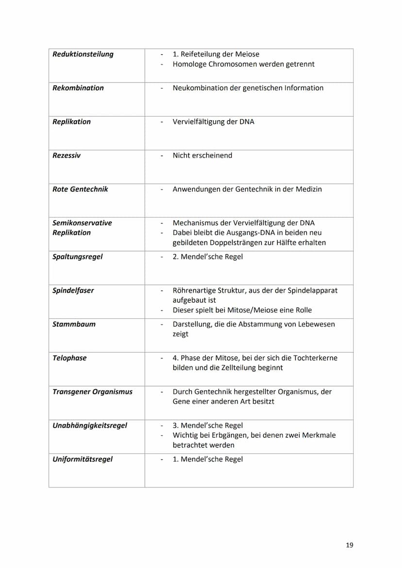 13. Glossar
Begriff
Allel/alleles Gen
Aminosäuresequenz
Aminosäure
Anaphase
Aneuploidie
Äquatorialebene
Autosomal-dominanter-
Erbgang
Autoso