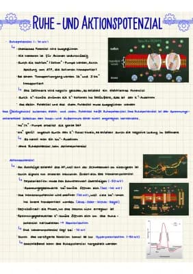 Know Neurobiologie  thumbnail