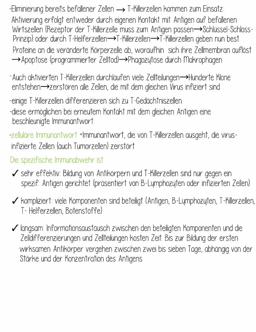  Krankheitserreger:
Bakterien
-Bau
Mikro-
kokken
-Wachstumskurve
Formen der Bakterienzelle
Bau
-sind Pathogen, wenn sie in
unser Gewebe eind