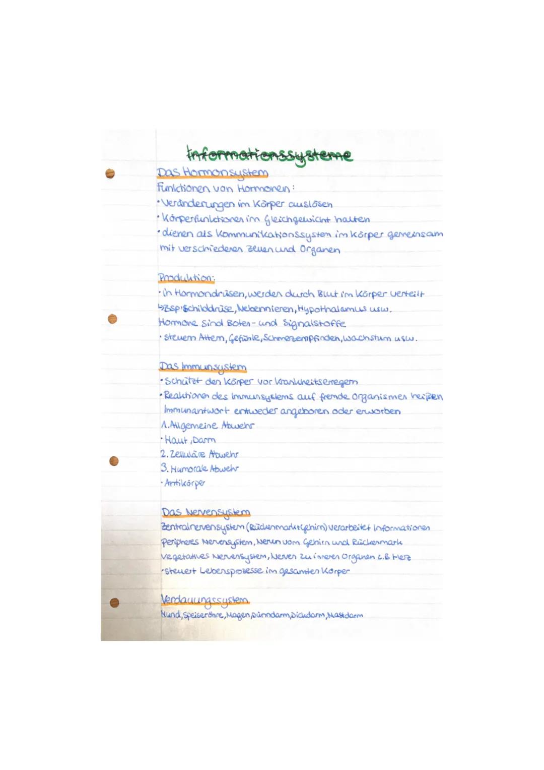 Sinnesorgane und Hormone erklärt für Kinder – Funktionen, Tabellen und PDF