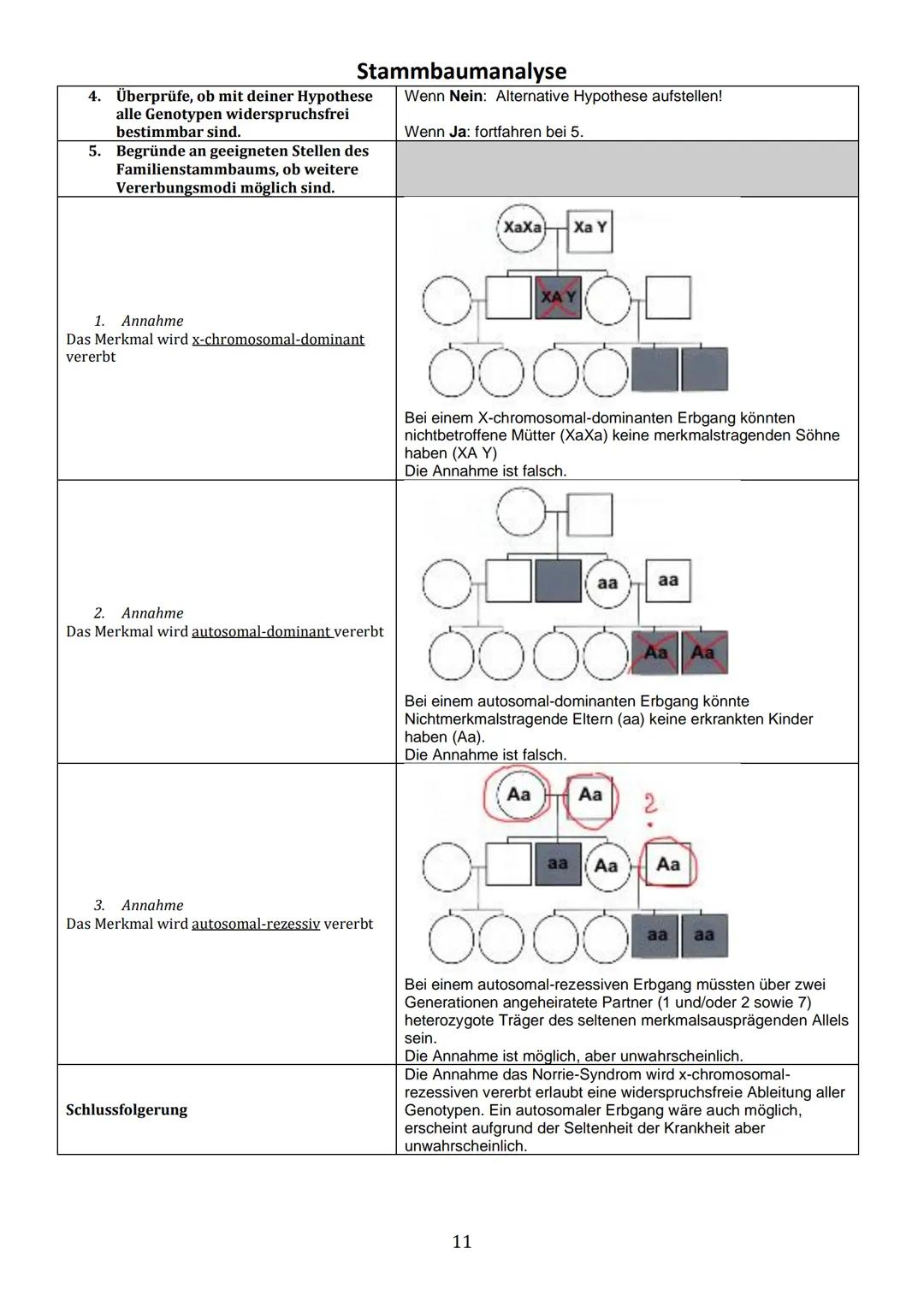 Thema 1: Einführung in die Stammbaumanalyse
Ziel der Analyse von Familienstammbäumen ist es, anhand von phänotypischen Merkmalen (Phänotyp =