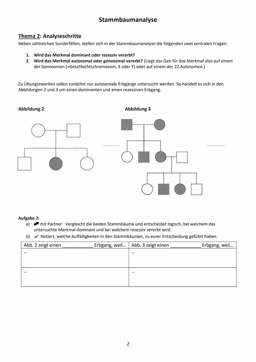 Thema 1: Einführung in die Stammbaumanalyse
Ziel der Analyse von Familienstammbäumen ist es, anhand von phänotypischen Merkmalen (Phänotyp =