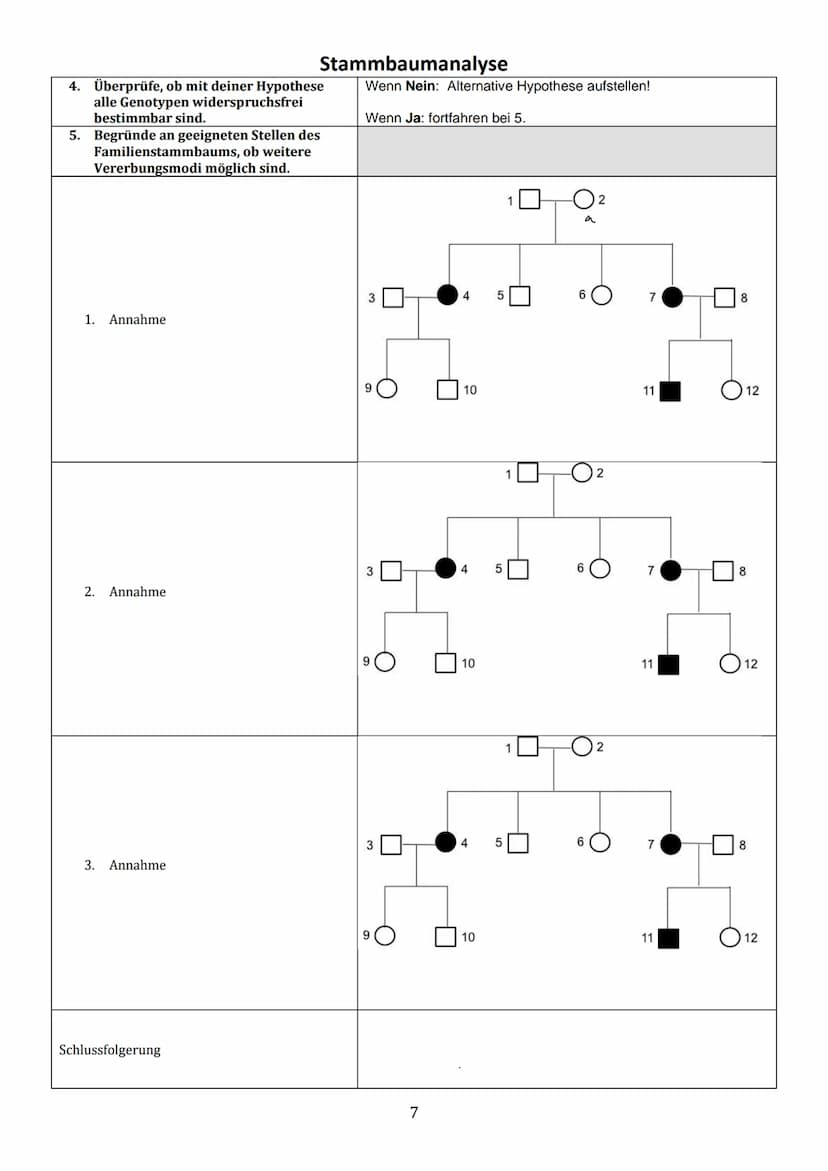 Thema 1: Einführung in die Stammbaumanalyse
Ziel der Analyse von Familienstammbäumen ist es, anhand von phänotypischen Merkmalen (Phänotyp =