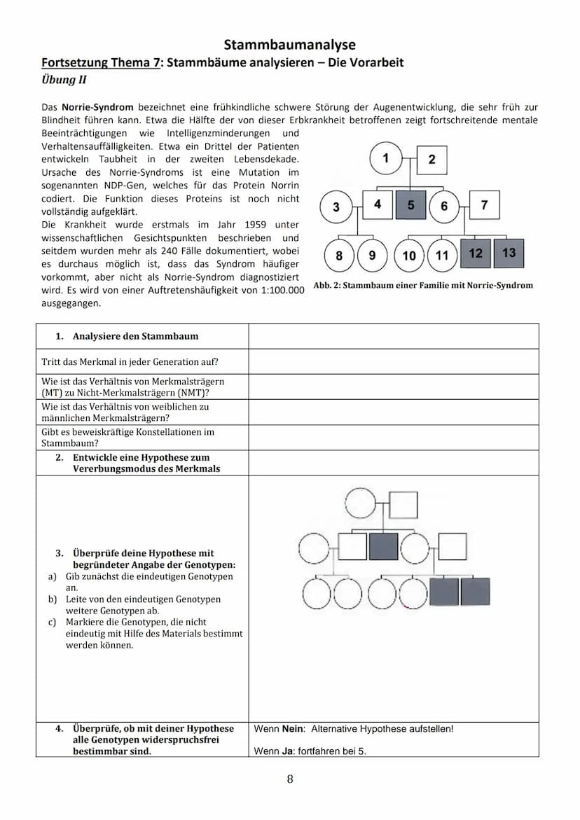 Thema 1: Einführung in die Stammbaumanalyse
Ziel der Analyse von Familienstammbäumen ist es, anhand von phänotypischen Merkmalen (Phänotyp =