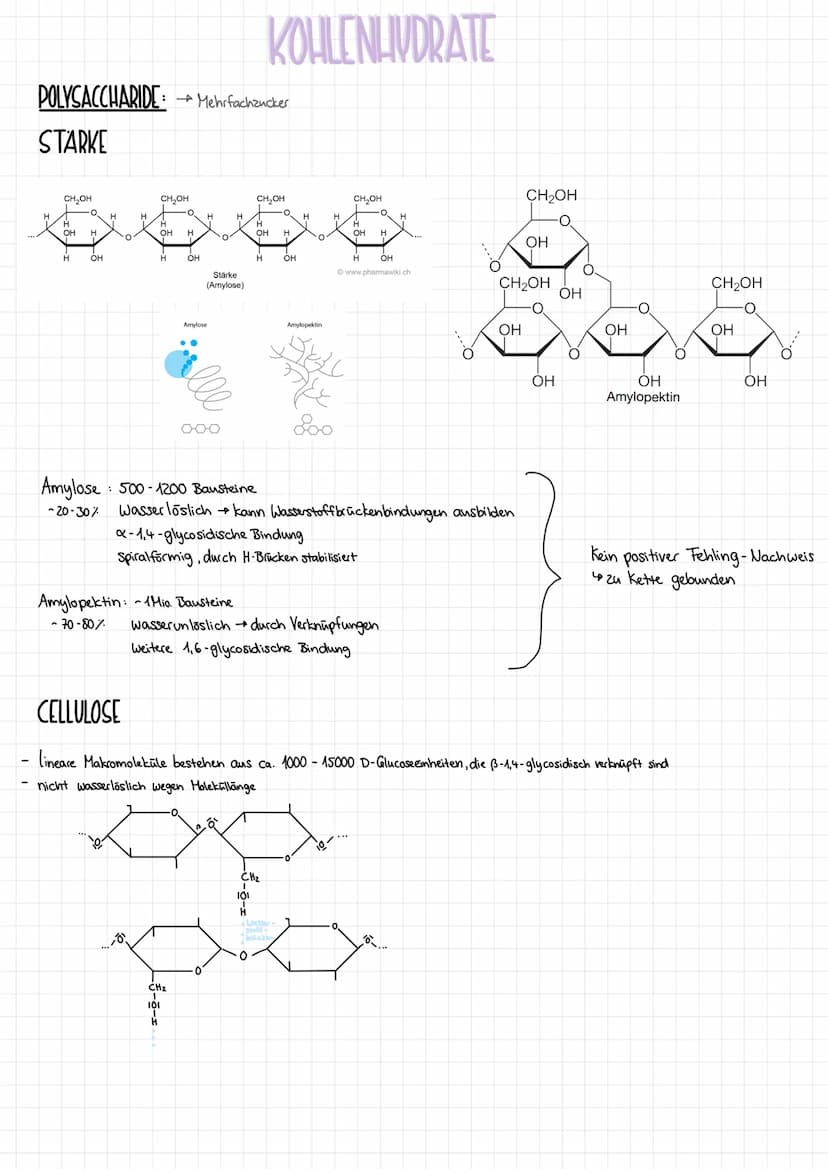 MONOSACCHARIDE
GLUCOSE
HACEO,
H-C-OH
HO-C-H
H-C-OH
I
H-C-OH
CH₂OH
D-Glucose
Bsp.:
→Einfachzucker
H
H-C-OH
H
Ethanol
1010
( = 0)
x-D-Glucopyr