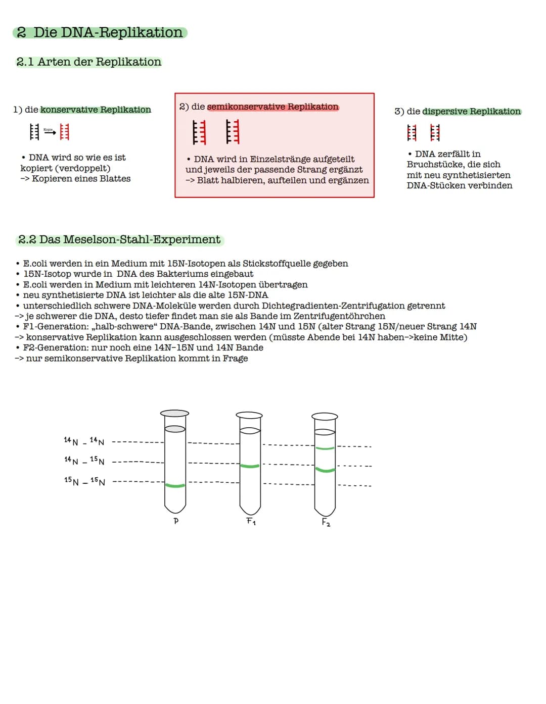 1 Die DNA
1.1 Der Aufbau der DNA
Watson-Crick-Modell
O=P-0
-O
07
Biologie Lk - Klausur: Genetiko
am 29.10.2021
0
O=P-0-
9
3'-Ende
große
Furc