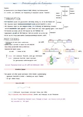 Know proteinbiosynthese (und spleißen) thumbnail