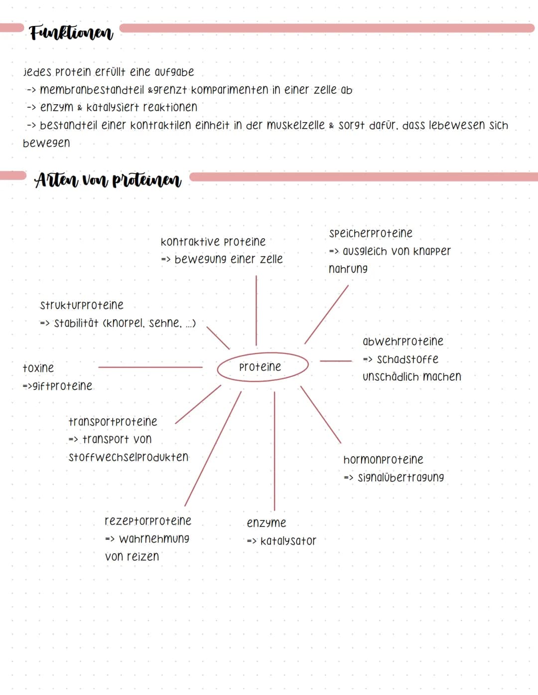 Proteine
-> Sind makromoleküle
-> aus kohlenstoff, wasserstoff, sauerstoff, Stickstoff, Schwefel
-> verleihen zellen struktur
-> katalysiere