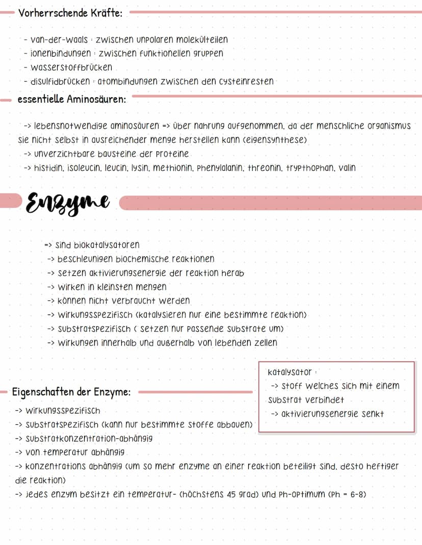 Proteine
-> Sind makromoleküle
-> aus kohlenstoff, wasserstoff, sauerstoff, Stickstoff, Schwefel
-> verleihen zellen struktur
-> katalysiere