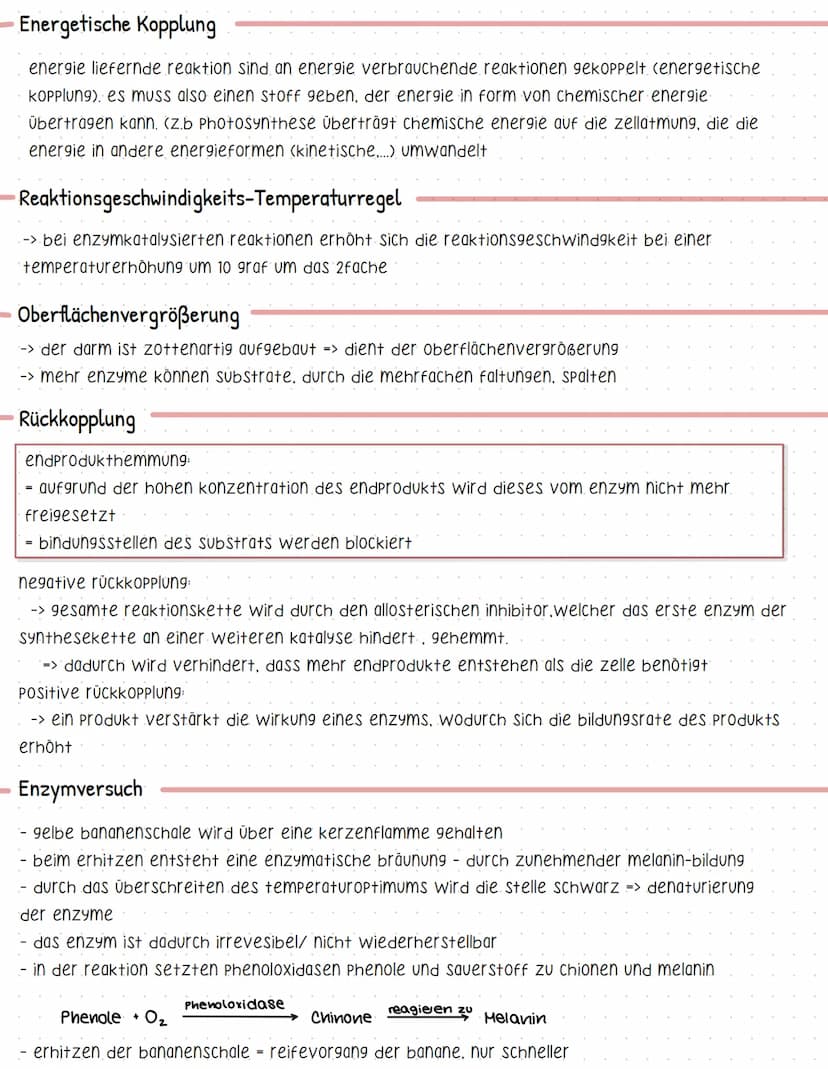 Proteine
-> Sind makromoleküle
-> aus kohlenstoff, wasserstoff, sauerstoff, Stickstoff, Schwefel
-> verleihen zellen struktur
-> katalysiere